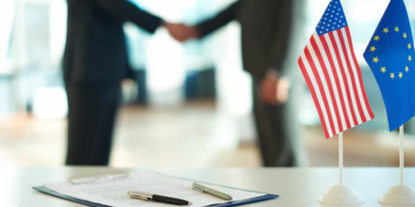 Immigration Bail Bonds Services